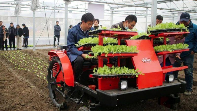 农村养鸡用平模颗粒机选购：关键点与误区解析**