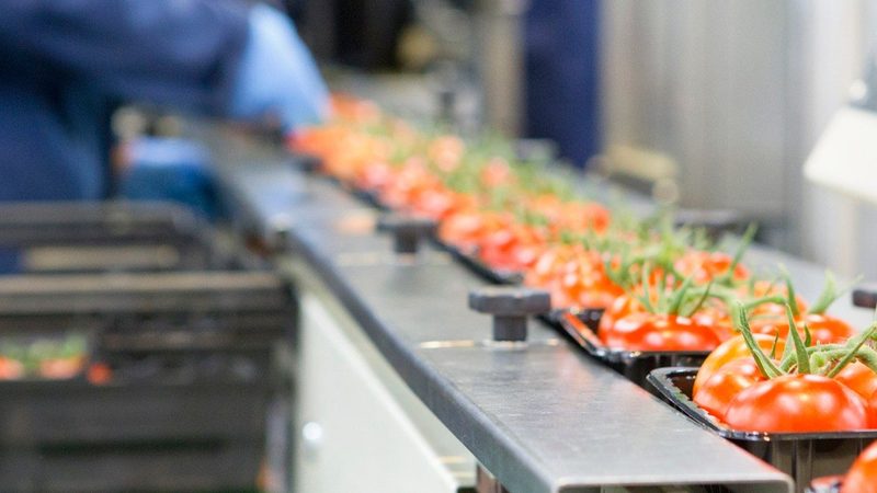 饲料机械选型：如何避开常见误区，提升养殖效率**
