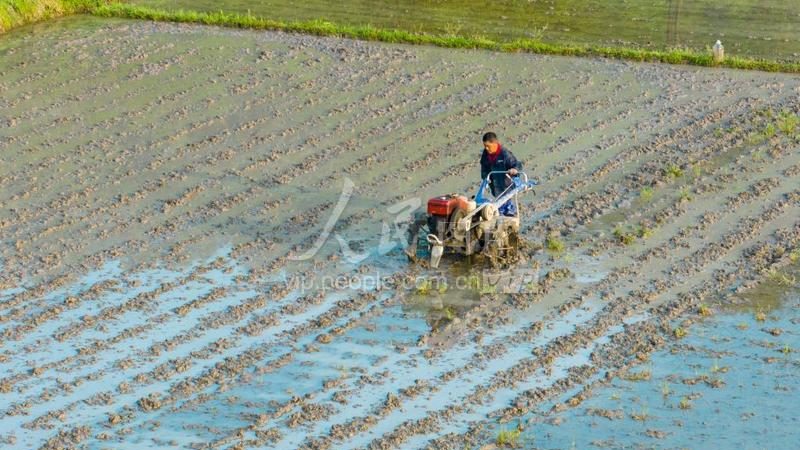 打捆机厂家报价表：揭秘选购背后的关键要素